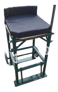 Field Events Chair